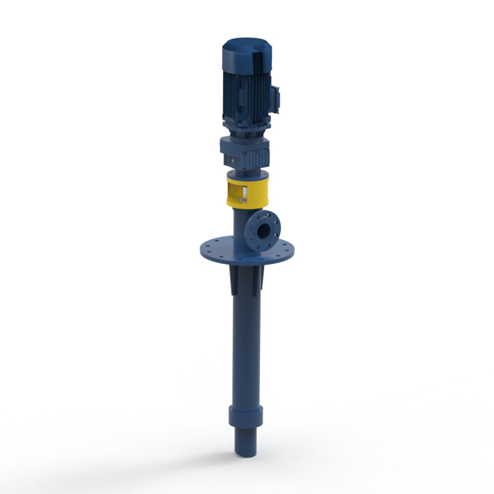 T-genus stupra Pumps